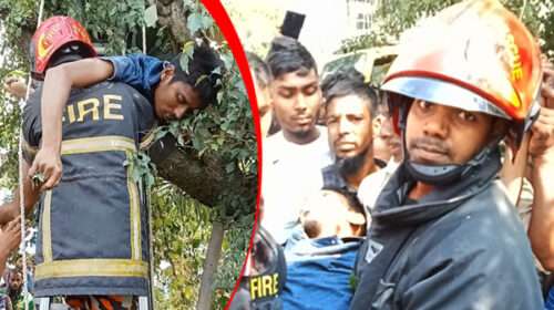 গাছের ডাল কাটতে গিয়ে বিদ্যুৎস্পৃষ্ট হয়ে যুবকের মৃত্যু