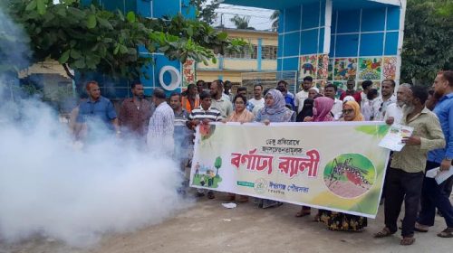 জনসচেতনতা বাড়াতে ঈশ্বরগঞ্জে ডেঙ্গু প্রতিরোধের র‍্যালী