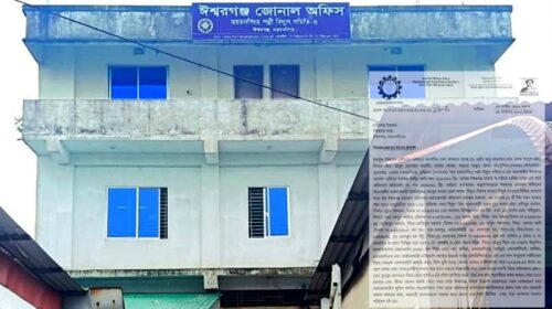 ঈশ্বরগঞ্জে বকেয়া বিল আদায়ে গিয়ে হামলার শিকার পল্লী বিদ্যুতের কর্মীরা